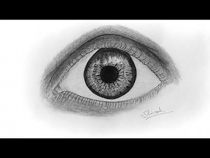 How to Draw a Realistic Eye 👁️#drawing #eye #pencildrawing
