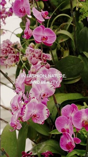 Guerlain is proud to support the New York Botanical Garden’s Orchid Show #Guerlain #NYBG #OrchidShow