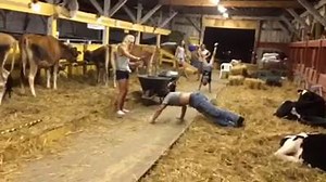 1.1K views · 77 reactions | Handstand contest at the Washington County Fair | The SpringHouse | Facebook