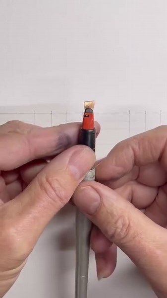 48K views · 1.3K reactions | Beauty is in the eye of the beholder,...