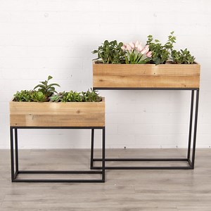 [Hot Item] Reclaimed Wood Flower Pots with Black Metal Stand, Flower Seeds