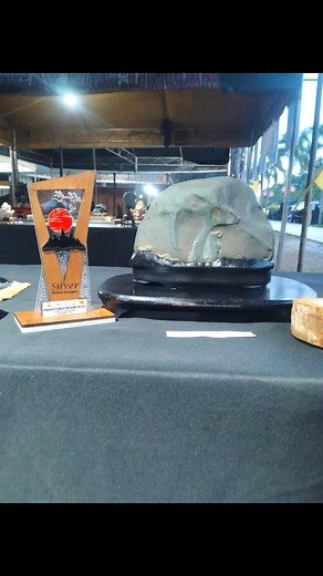 Silver 🥈 award Pattern category Thankyou lord 😇🙏 #suiseki #naturelovers #highlightsシ゚ #highlighteveryone #LikeFollowShare | Winston Guanzon