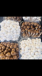 Swing by Hypha Farms for the freshest selection of wild mushrooms! Brian specializes in foraged treasures, offering hedgehog mushrooms, Danko shiitake, morels, yellow-foot chanterelles, and King oysters 🍄. Plus, don’t miss their handpicked grapefruits and premium truffle olive oil! | Uptown Farmers Market