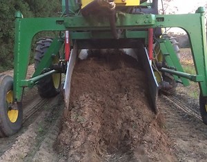 26 reactions | Our digging crew has been busy digging perennials from our fields for your spring order! This video shows 28" Daylily two row advance digging. | Walters Gardens | Facebook