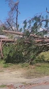 Strong winds from Hurricane Helene knocked down trees in Hazlehurst, Georgia as the storm wrecked havoc across the state. | New York Post Trending Now
