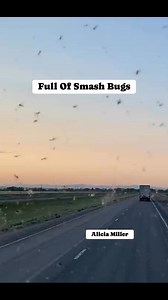 Dirty Windshield #Trucking #Hauling #GodBlessAmerica #InGodWeTrust #Truckdriver #Montana | Alicia Miller Videos & Photography