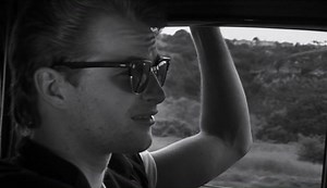 Joshua Tree, 1951 - A Portrait of James Dean_arc