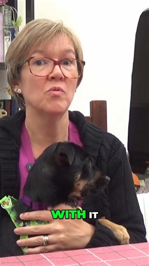 29 reactions | Explore the fascinating career of royal physician, Dr William Butts. See full video at https://youtu.be/39hVtHLo_l8 #HenryVIII #RoyalHistory #HistoricalFigures #TudorDynasty #RoyalPhysician #BritishHistory #RenaissanceEra | The Anne Boleyn Files | Facebook