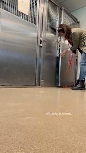 4.3K views · 1.4K reactions | Come and fall in love at the Los...