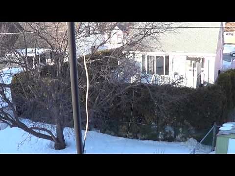 New CB 102 inch whip antenna for Shortwave radio listening