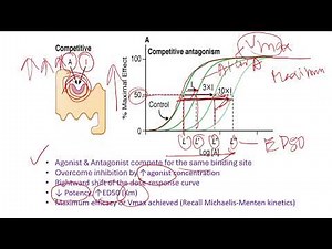 Competitive & Noncompetitive Antagonists. How to remember pharmacology