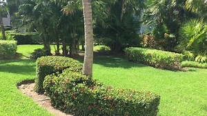 Enjoy the relaxing view of our iconic gardens during your dreamy stay at Dreams Tulum Resort & Spa. Book your next stay by clicking here -> http://bit.ly/2nr9ML7 | Dreams Tulum Resort & Spa