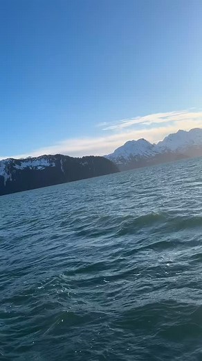 A January visit from a local orca pod here in Resurrection Bay. #sewardalaska #sewardoceanexcursions @visitseward #kenaifjordsnationalpark #ocean #nature #wildlife #wildlifephotography #alaska #whale #whalewatching #kenaifjords | Seward Ocean Excursions