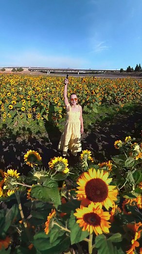 Easy travel transition video trick with @insta360 X3 🙌 АD Filming: 1. Attach a bullet time accessory to your X3 camera (bullet time stick or string) 2. Select Bullet Time mode on your camera 3. Spin it above your head in different locations. Editing (easy option): 1. Open Insta360 app and go to Stories - Bullet Time Mix. 2. Click “Use this theme” and add all your bullet time videos. The AI will find the highlights and create a video for you 💫 Editing (advanced option - if you want to have more