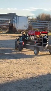 🐶 🐾 | Cowboy Toys