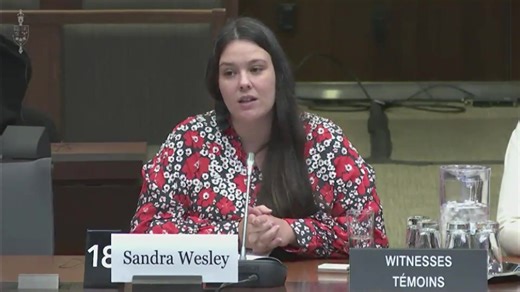 14 reactions | A parliamentary committee heard from sex work advocates about how decriminalization is the best way to prevent violence against women, girls and gender-diverse people. | APTN National News | Facebook