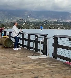 The new Finding Dory looks fucked up... | A Piece By Guy