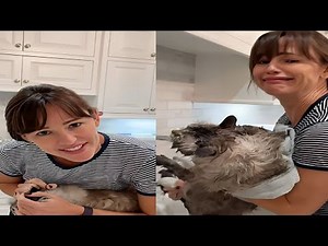 Jennifer Garner’s Cat Moose Reacts to Viral TikTok Challenge - You Won’t Believe His Face!