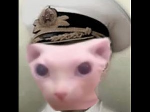 floppa vs bingus full story-mode