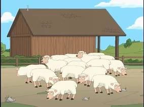 Funny Sheep Shearing! loveshearing.com | Shearing Industry Culture