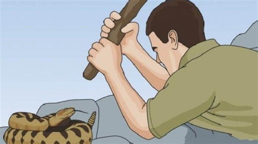 Bukan Pertanda Buruk, Ini Arti Mimpi Membunuh Ular Belang, Mampu Singkirkan Ancaman - Tribunnewsbogor.com