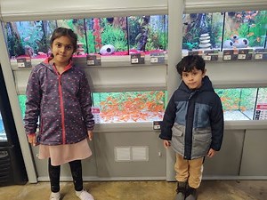 Kids at PetsMart to buy Goldfish