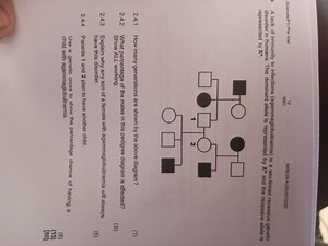 A lack of immunity to infections (agammaglobulinemia) is a sex-... | Filo