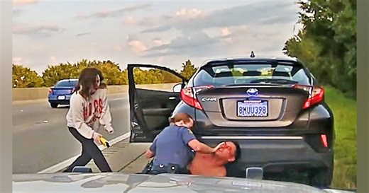 Video: Driver Throws Ark. Trooper's TASER into Traffic During Stop