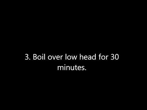 How to Make San Pedro Cactus Tea