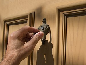 Door-To-Door Pest Control Salespeople May Be Scammers, AG Warns