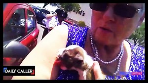 2.8K views · 44 reactions | Watch what this police officer decides to do when he comes across a tiny puppy yelping in distress inside of a hot car. | American Voices | Facebook