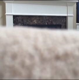 The Cutest Little Piggy You’ll Ever See