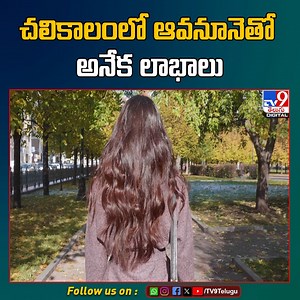 13K views · 26 reactions | Mustard Oil Benefits | చలికాలంలో ఆవనూనెతో అనేక లాభాలు - TV9 #MustardOilBenefits #skin #TV9Telugu | TV9 Telugu | Facebook