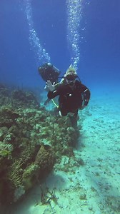 ScubaCaribe Dominican Republic on Reels