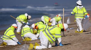 California Oil Spill: How to Help