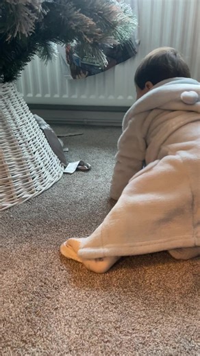 8.6K views · 699 reactions | Catching the bunnies  | Thumper & Bliss | Facebook