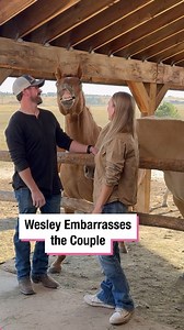 Wesley Embarrasses the Couple! 😂 | Beverley Mitchell