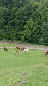 22K views · 323 reactions | No, uite o știre cu adevărat...