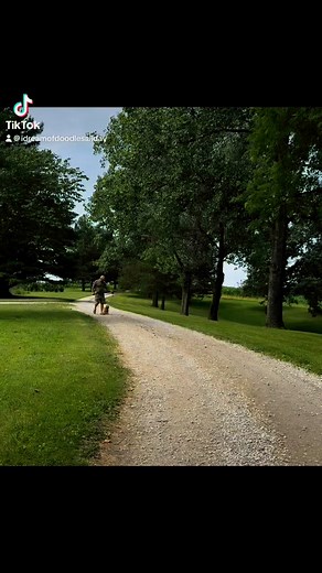 Wren had graduated IDOD’s Puppy Academy and waiting…for you! Adult weight 15#, nonshedding/hypoallergenic…:and trained! #idreamofdoodlesallday #doodles #minigoldendoodle #cute #stlouis #puppylove #puppy #goldendoodle #chicago #chicagoland #stlouismo #stl | I Dream of Doodles