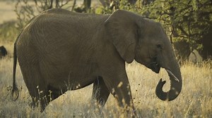 381K views · 3.7K reactions | Teacher wont call on Little Johnny because of his dirty mouth. See more funny jokes here. www.youtube.com/eddiegotfunnyjokes | FUNNY JOKES | Facebook