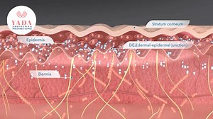 Targetcool: The future of non-invasive drug delivery is here at Yada Clinic Pattaya. #TargetCool #YadaClinic #YadaClinicPattaya | Yada Clinic Pattaya