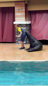 #60thanniversary #seaworld #conservation #clydeandseymour | Travisandcousins