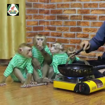 95K views · 1K reactions | Mom cook corn yummy monkey Vola can't patience request but hot | Monkey Kevin | Facebook