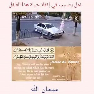 سبحان الله شاهد الفيديو #حيدرالجنابي | شبكة بغدادي الحبيبة