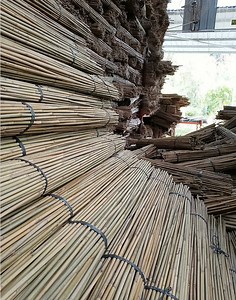 [Hot Item] Hot Sales Natural Raw Bamboo Poles/Canes/Stakes