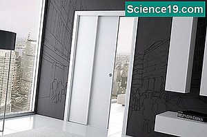 Činjenice o Pacu Ribama 💫 Znanstveno-Popularni Multimedijalni Portal. 2025