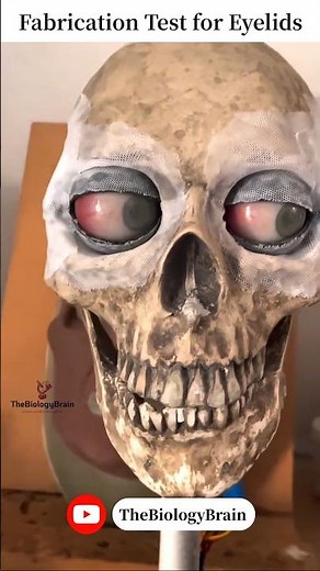 Fabrication Test for Eyelids. #shorts #health #eyelids #eyes #youtubeshorts