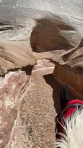 4.7K views · 349 reactions | Scout's Trail on Reels | Facebook