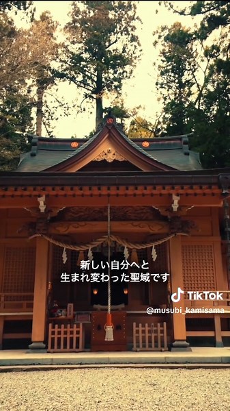 【奇跡】8万8千人に一人の予言。富士山最古の聖域「須山浅間神社」が告げる、不運を焼き尽くす『最終通告』。 【警告：覚悟が決まった方だけお読みください】 今、この映像があなたの瞳に映り込んだのは、龍の数字「88」に導かれた、人生逆転の前兆です。富士山最古の聖域「須山浅間神社」が、あなたの不運を黄金の燃料へと変える最終段階に入りました。 今、この映像があなたの瞳に映り込んだ確率は、およそ**【8万8千人に一人】。 末広がりの龍の数字に導かれ、これまで独りで歯を食いしばり、耐え忍んできたあなたを、富士の神様がピンポイントで【名指し】**した招待状です。✨ 静岡県裾野市に鎮座する世界遺産、須山浅間神社。 ここは、富士山最古の登山道の起点であり、古来より修行者が絶望すら炎で焼き尽くし、新しい自分へと生まれ変わった究極の再生聖域。 女神・木花之佐久夜毘売（コノハナサクヤヒメ）の強大な生命力が、あなたを縛り続けてきた**「金の巡りの悪さ」**を完膚なきまでに断ち切り、空いた器に「本物の豊かさ」を堰を切ったように流し込みます。 これは、選ばれた方だけに届く神域からの**『最終通告』**。 もし、この言