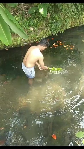 Hunting valisneria in the wild Everyone #aquascape #brianaquatic #reelsfb #reelsviral #fypシ゚viralシ #everyone #starseverywhere #starsendereveryone | Brian Aquatic